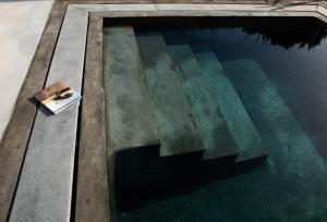 カマリにあるElmarelの本を置いた水のプール