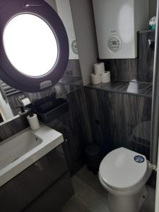 a bathroom with a toilet and a sink and a window at Hausboot Lucky in Hattem