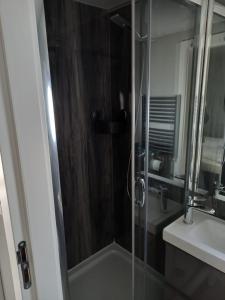 a shower with a glass door next to a sink at Hausboot Lucky in Hattem