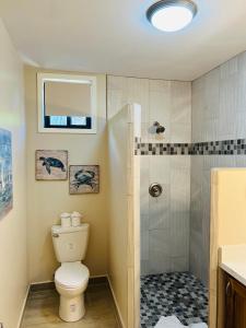 a bathroom with a toilet and a shower at The Flying Toucan in Placencia Village
