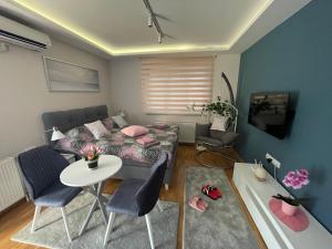 Foto sihtkohas Bačka Palanka asuva majutusasutuse Apartman Spa Bačka galeriist