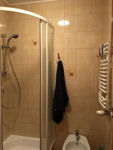 y baño con ducha, aseo y lavamanos. en Apartament Dadaj 2/5, en Dadaj