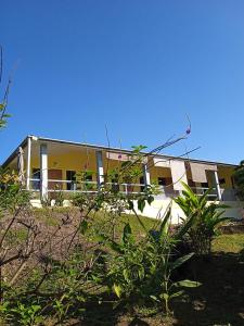 una casa amarilla con muchas plantas delante de ella en Hostal Casa Las Lajas en Las Lajas