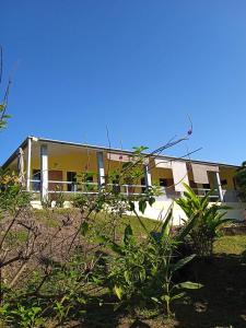una casa amarilla con muchas plantas delante de ella en Hostal Casa Las Lajas, en Las Lajas
