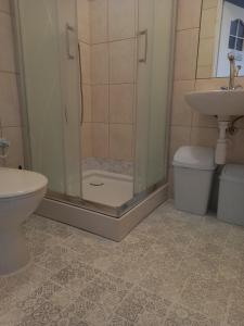 Kúpeľňa v ubytovaní Villa Jaskółka