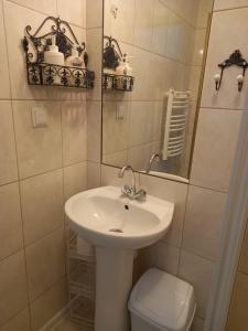 Kúpeľňa v ubytovaní Villa Jaskółka