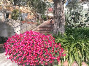 A garden outside b&b bellavista
