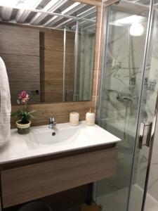 a bathroom with a sink and a shower at Loft 2 , San Ignacio Maracena in Maracena