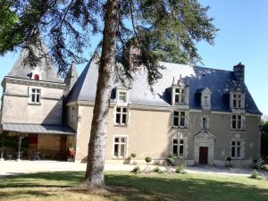 uma casa grande com uma árvore em frente em Manoir de la Touche em Azay-le-Rideau