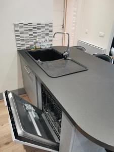 encimera de cocina con fregadero y lavavajillas en Appartement Fontargente, en Ax-les-Thermes