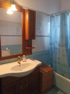 a bathroom with a sink and a shower curtain at Cozy house Ioannina neokesaria in Neokaisáreia