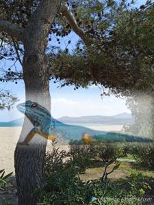 Příroda nedaleko apartmánu + 2 fotografie