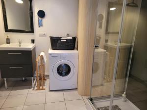 uma casa de banho com uma máquina de lavar roupa e um lavatório em Loft 4 du Temple HyperCentre & Parking em Cambrai
