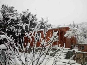 Afbeelding uit fotogalerij van Wooden Cottages - Mtskheta in Mtskheta