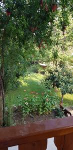 Afbeelding uit fotogalerij van Wooden Cottages - Mtskheta in Mtskheta