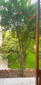 Afbeelding uit fotogalerij van Wooden Cottages - Mtskheta in Mtskheta