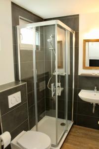 a bathroom with a shower and a toilet and a sink at The Lodge Bad Harzburg in Bad Harzburg