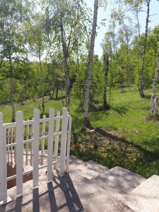 Garður fyrir utan Divčibarka