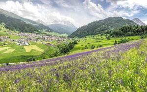 Phong cảnh thiên nhiên gần căn hộ