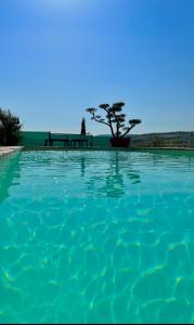 a pool of blue water with a picnic table in the background at Havre de paix, vue pano, terrasse, piscine, nature. in Limoux