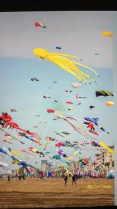 リド・ディ・イエゾロにあるResidence Beverlyの海岸上空を飛ぶ凧