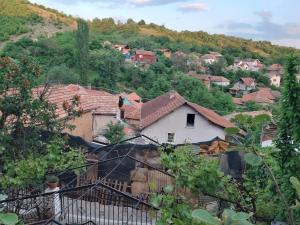 un groupe de maisons sur une colline dans un village dans l'établissement Vila Mir, à Pirot