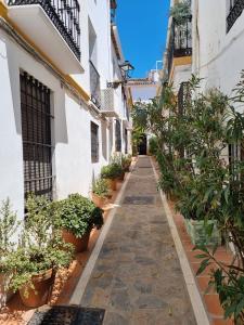 an alley between two buildings with potted plants at Town house with roof terrace - Old Town in Marbella