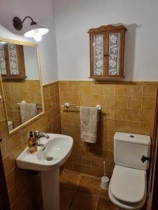 a bathroom with a sink and a toilet and a mirror at Town house with roof terrace - Old Town in Marbella