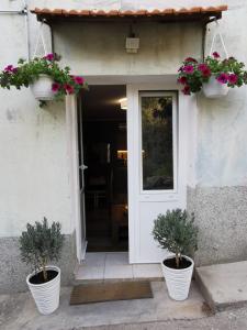 a white door with two potted plants and flowers at Apartment with garden in Vela Luka
