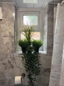 uma casa de banho com um vaso de plantas numa janela em Charming, cosy hideaway with free WiFi, parking em Roundhay