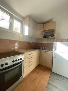 Kuchyň nebo kuchyňský kout v ubytování Vracar Apartment