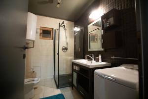 a bathroom with a shower and a sink and a toilet at Maison de l'Amour in Brebu Nou
