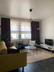 uma sala de estar com um sofá e uma mesa em Anna Flat em Gante