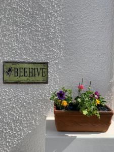 a pot of flowers sitting on a shelf next to a wall at The Beehive - Self Contained Studio by The Sea in Exmouth