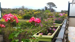 A garden outside Casa Limoni al mare tra Catania Etna e Taormina