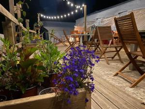 Aparra Surfcamp Auberge Hendaye外面的花园