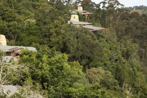 a house on the side of a hill with trees at Tsala Treetop Lodge in Plettenberg Bay