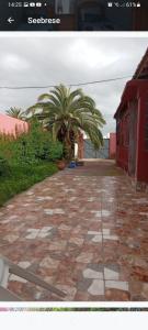 Fotografie z fotogalerie ubytování PalmTree v destinaci Džadída