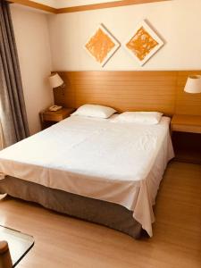 a bedroom with a large bed in a room at Classic Flat do Eduardo in Sao Paulo