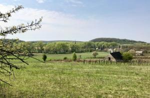 Afbeelding uit fotogalerij van Káli Kerted Vendégházak Karolin néni háza in Monoszló