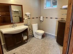 a bathroom with a sink and a toilet and a mirror at Ye Jiang Hua Homestay in Meishan