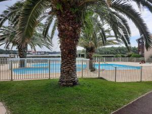 a palm tree in front of a fence with a pool at Appartement avec vue sur le lac in Vieux-Boucau-les-Bains