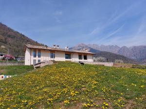 Foto dalla galleria di La casa di Maia - Alloggio Agrituristico a Pedavena