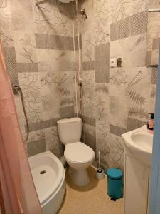 a small bathroom with a toilet and a sink at Willa Gaszek in Inowłódz