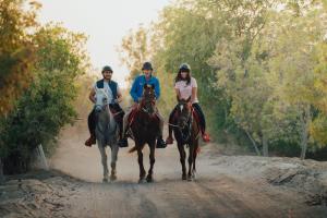 three people riding horses down a dirt road at Bab Al Nojoum Al Mugheirah in Al Mirfa