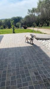 Hostia v ubytovaní Mediterranean Escape