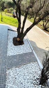 Vonkajšia záhrada v ubytovaní Mediterranean Escape