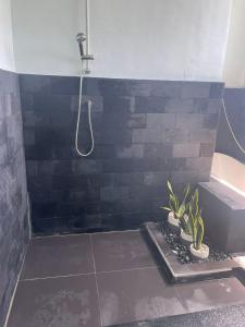 a bathroom with a shower and plants in it at Villa Rembulan in Gili Trawangan