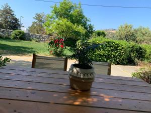 a potted plant sitting on top of a wooden table at Kassiani Studios in Plakias