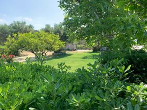 a garden with a lawn and trees in the background at Kassiani Studios in Plakias